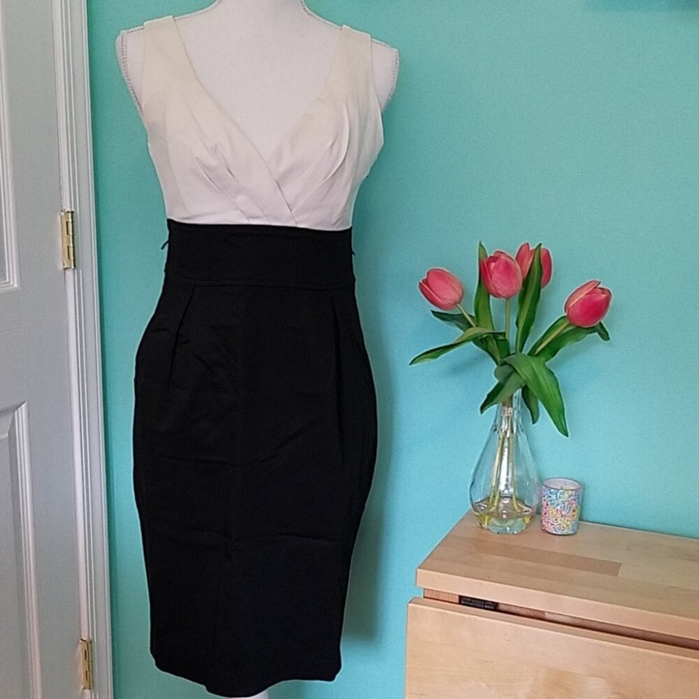 Dress from Express